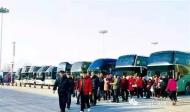 天鵝翔舞廣迎八方賓朋 崤函大地開(kāi)啟冬日之旅